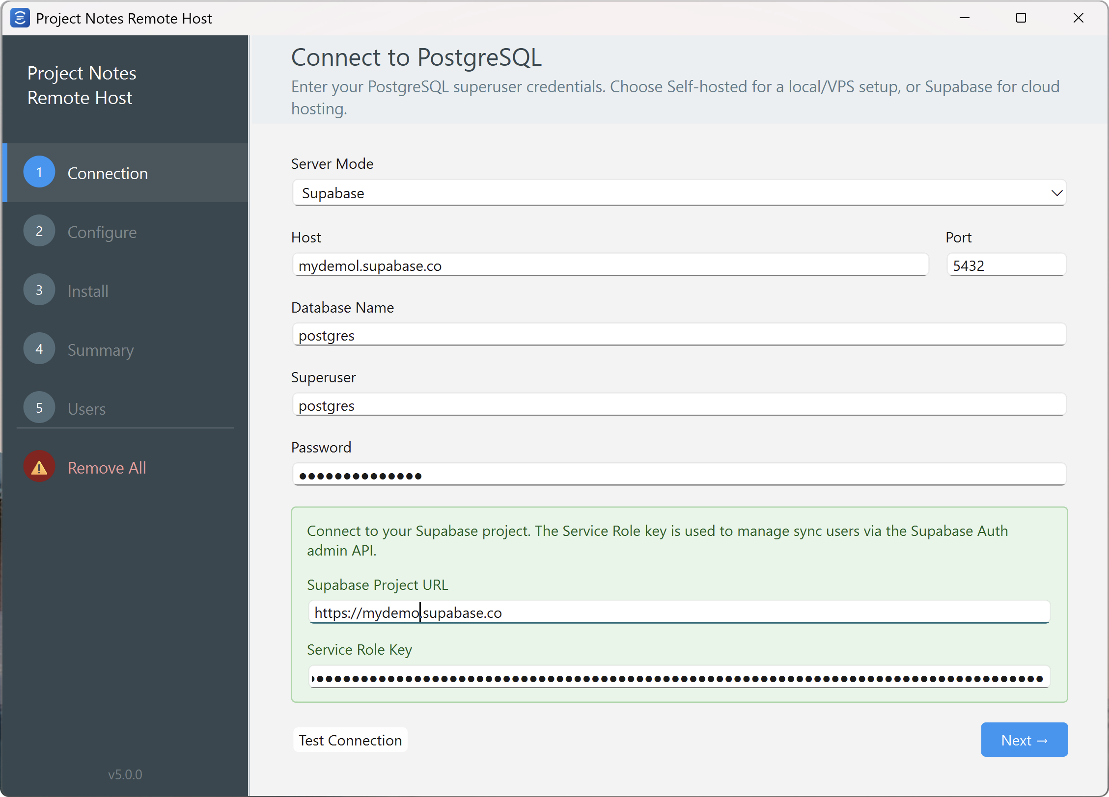 Remote host setup showing PostgreSQL and Supabase connection fields.